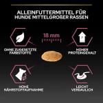 PRO PLAN Medium Adult Salmon Dog Food 14kg