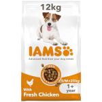 IAMS Complete Dry Dog Food with DentalCare, 12kg