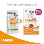 IAMS Complete Dry Dog Food with DentalCare, 12kg