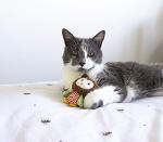 Rosewood Little Nippers Catnip Owl Toy