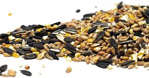 Wild Bird Seed Mix with Aniseed – 5Kg