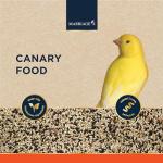 Nutritious Canary Food with Seed and Protein