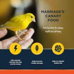 Nutritious Canary Food with Seed and Protein
