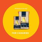 Nutritious Canary Food with Seed and Protein