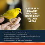Nutritious Canary Food with Seed and Protein
