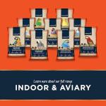 Nutritious Canary Food with Seed and Protein