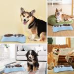 DOKI Non-Spill Double Dog Bowl Set