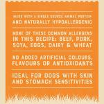 James Wellbeloved Senior Turkey & Rice Dog Food