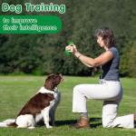 HETOO Dental Chew Toys for Dogs and Puppies