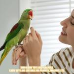 24 Pcs Interactive Chewing Toys for Birds