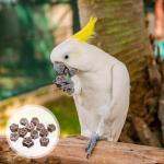 24 Pcs Interactive Chewing Toys for Birds