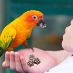 24 Pcs Interactive Chewing Toys for Birds