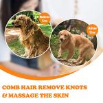 2-in-1 Grooming Brush for Dogs and Cats