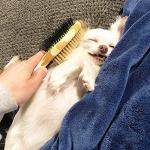 2-in-1 Grooming Brush for Dogs and Cats