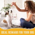 Carrot Chicken Dog Chews - 320g Pack