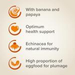 Beaphar XtraVital Parrot Food with Fruits & Egg