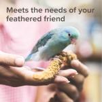 Beaphar XtraVital Parrot Food with Fruits & Egg