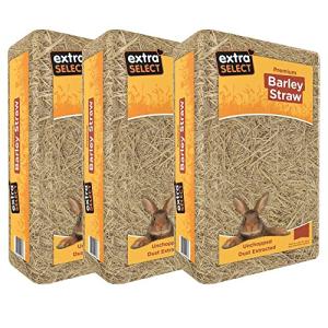 Soft Barley Straw Bedding for Small Animals