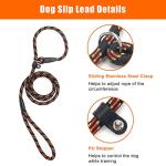 Durable Adjustable Slip Lead for Dogs