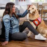 Milk-Bone Dunkin' Vanilla Glaze Dog Treats, 8 oz