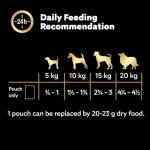 CESAR Adult Dog Pouches Sauce Selection in Gravy 40x100g