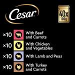 CESAR Adult Dog Pouches Sauce Selection in Gravy 40x100g