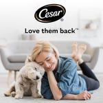 CESAR Adult Dog Pouches Sauce Selection in Gravy 40x100g