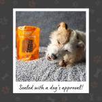 Pet Munchies Small Buffalo Dental Chews, Healthy, Natural and Long-Lasting Dog Treats, Grain Free and Low in Fat 55g (4 Chews)