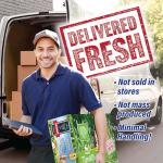 Small Pet Select 1st Cut Timothy Hay Pet Food for Rabbits, Guinea Pigs, and Other Small Animals, Easy to Store Box, 10lb (4.54 kg)