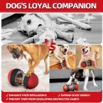 CAROZEN Interactive Dog Enrichment Toy, Slow Feeder & Treat Puzzle for Mental Stimulation, Durable Food Dispenser for Small and Medium Dogs, Indoor Training Aid