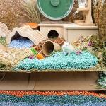 Niteangel Hamster Paper Pellets Bedding for Syrian Dwarf Hamsters Gerbils Mice Mouse Lemming Degus or Other Small-Sized Pets (Pink)