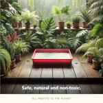 almo nature Cat Litter – Soft Texture | 100% Natural, Plant-Based | Non-Clumping, Non-Clay, Non-Silica | Odour-Free & Robot-Friendly - 4.54kg