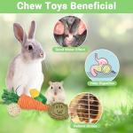 Ousiya 21-Pack Rabbit Toys Set, Natural Rabbit Chew Toys Boredom Breakers for Bunny, Hamster, Guinea Pig and Chinchilla, Apple Wood Timothy Hay Sticks Treating for Rabbit and Small Animals Teething
