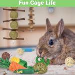 Ousiya 21-Pack Rabbit Toys Set, Natural Rabbit Chew Toys Boredom Breakers for Bunny, Hamster, Guinea Pig and Chinchilla, Apple Wood Timothy Hay Sticks Treating for Rabbit and Small Animals Teething