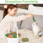 Ousiya 21-Pack Rabbit Toys Set, Natural Rabbit Chew Toys Boredom Breakers for Bunny, Hamster, Guinea Pig and Chinchilla, Apple Wood Timothy Hay Sticks Treating for Rabbit and Small Animals Teething