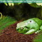 Coirology Natural Coconut Fiber Substrate for Pets