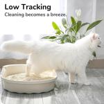 Tofu Cat Litter - Clumping, Dust-Free, Flushable