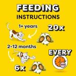 Dreamies Cat Treats Mega Pack with Catnip