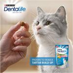 DENTALIFE Salmon Flavor Cat Treats 40g