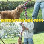 Tough Indestructible Dog Rope Toy for Chewers