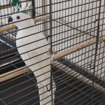 Large Metal Bird Cage with Stand for Small Pets