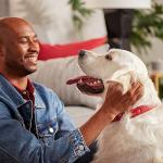 Milk-Bone Large Dog Treats Biscuits, 10 Pounds