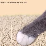 Natural Cat and Kitten Wood Pellets Litter 20L