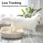 Tofu Cat Litter - Natural, Dust Free, Flushable