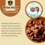 Premium No-Mess Peanuts for Backyard Birds