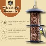 Premium No-Mess Peanuts for Backyard Birds