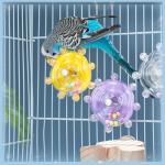 Interactive Spinning Wheel Bird Toy for Parakeets
