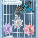 Interactive Spinning Wheel Bird Toy for Parakeets