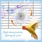 Interactive Spinning Wheel Bird Toy for Parakeets
