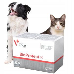 Large Breed Senior Dog Supplement for Vitality